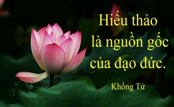 Lời hay trong cuộc sống